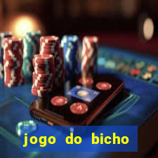 jogo do bicho tipos de apostas